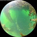 ./images/calvert/underwater/20260601/underwater20260601_072501M.jpg