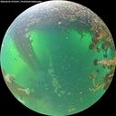 ./images/calvert/underwater/20260601/underwater20260601_073501M.jpg
