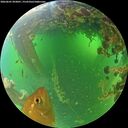 ./images/calvert/underwater/20260601/underwater20260601_093001M.jpg