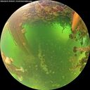 ./images/calvert/underwater/20260601/underwater20260601_094501M.jpg