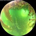./images/calvert/underwater/20260601/underwater20260601_110501M.jpg