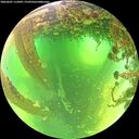 ./images/calvert/underwater/20260601/underwater20260601_112002M.jpg