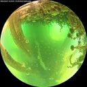 ./images/calvert/underwater/20260601/underwater20260601_112501M.jpg