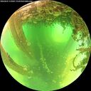 ./images/calvert/underwater/20260601/underwater20260601_113001M.jpg