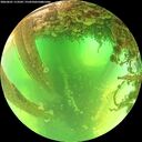 ./images/calvert/underwater/20260601/underwater20260601_113502M.jpg