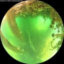 ./images/calvert/underwater/20260601/underwater20260601_114001M.jpg