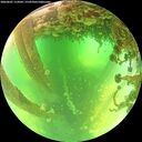 ./images/calvert/underwater/20260601/underwater20260601_114501M.jpg