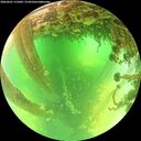 ./images/calvert/underwater/20260601/underwater20260601_115001M.jpg