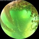 ./images/calvert/underwater/20260601/underwater20260601_115501M.jpg