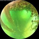 ./images/calvert/underwater/20260601/underwater20260601_120501M.jpg