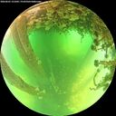 ./images/calvert/underwater/20260601/underwater20260601_121002M.jpg
