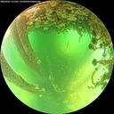 ./images/calvert/underwater/20260601/underwater20260601_121501M.jpg