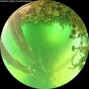 ./images/calvert/underwater/20260601/underwater20260601_122001M.jpg