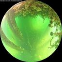 ./images/calvert/underwater/20260601/underwater20260601_122501M.jpg