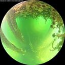 ./images/calvert/underwater/20260601/underwater20260601_123001M.jpg