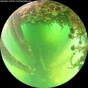 ./images/calvert/underwater/20260601/underwater20260601_123501M.jpg