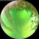 ./images/calvert/underwater/20260601/underwater20260601_124001M.jpg