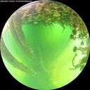 ./images/calvert/underwater/20260601/underwater20260601_125501M.jpg