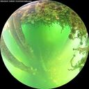./images/calvert/underwater/20260601/underwater20260601_130001M.jpg