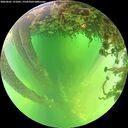 ./images/calvert/underwater/20260601/underwater20260601_131001M.jpg