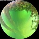 ./images/calvert/underwater/20260601/underwater20260601_132001M.jpg