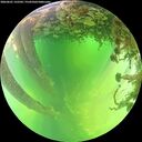 ./images/calvert/underwater/20260601/underwater20260601_132502M.jpg