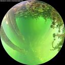 ./images/calvert/underwater/20260601/underwater20260601_133501M.jpg