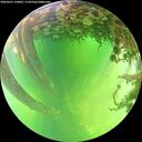 ./images/calvert/underwater/20260601/underwater20260601_134002M.jpg