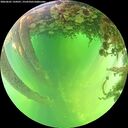 ./images/calvert/underwater/20260601/underwater20260601_134501M.jpg