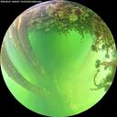 ./images/calvert/underwater/20260601/underwater20260601_140501M.jpg