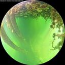 ./images/calvert/underwater/20260601/underwater20260601_141502M.jpg