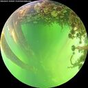 ./images/calvert/underwater/20260601/underwater20260601_143001M.jpg