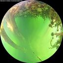 ./images/calvert/underwater/20260601/underwater20260601_144001M.jpg