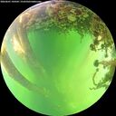 ./images/calvert/underwater/20260601/underwater20260601_144502M.jpg