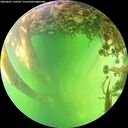 ./images/calvert/underwater/20260601/underwater20260601_150501M.jpg