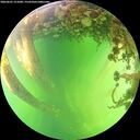 ./images/calvert/underwater/20260601/underwater20260601_151001M.jpg