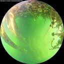 ./images/calvert/underwater/20260601/underwater20260601_152501M.jpg