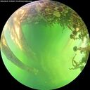 ./images/calvert/underwater/20260601/underwater20260601_153002M.jpg