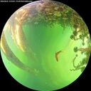 ./images/calvert/underwater/20260601/underwater20260601_153501M.jpg