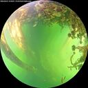 ./images/calvert/underwater/20260601/underwater20260601_155001M.jpg
