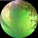 ./images/calvert/underwater/20260601/underwater20260601_160001M.jpg