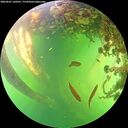 ./images/calvert/underwater/20260601/underwater20260601_160501M.jpg