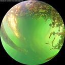 ./images/calvert/underwater/20260601/underwater20260601_161501M.jpg
