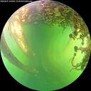 ./images/calvert/underwater/20260601/underwater20260601_162002M.jpg