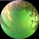 ./images/calvert/underwater/20260601/underwater20260601_162501M.jpg