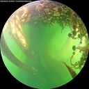 ./images/calvert/underwater/20260601/underwater20260601_163001M.jpg