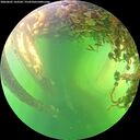 ./images/calvert/underwater/20260601/underwater20260601_163501M.jpg