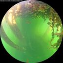 ./images/calvert/underwater/20260601/underwater20260601_165002M.jpg