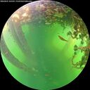 ./images/calvert/underwater/20260601/underwater20260601_165501M.jpg