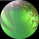 ./images/calvert/underwater/20260601/underwater20260601_170002M.jpg